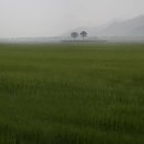 천년의정원 이미지