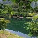 의령 청금정 이미지