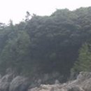 바래도 Daum백과