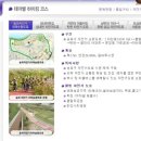 성내4교 아래 이미지