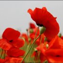 농가월령 이미지