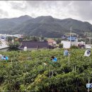 일월면사무소 이미지