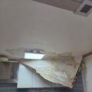 신기부영3차@ 이미지