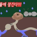 킨더비