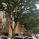 뉴하이렌트카 이미지