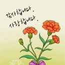 달서50플러스센터(달서평생학습관) | 디지털드로잉 -대구 달서 50플러스센터