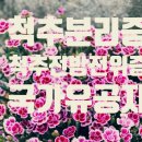 척추분리증 척추전방전위증 발병과 국가유공자 등록 이미지