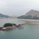 솔섬(송도) 네이버블로그