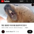 씨유천안성환올레점 | 숭이의 4월-5월 중반