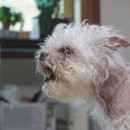 새롬농장 이미지