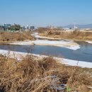 창동교 남단 ~ 한국전력공사 앞 | 황구지천 따라 걷기3(진위천 제1지류: 오목천교-기안교-용주사)