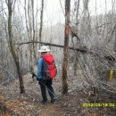 암봉농장 이미지