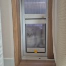 주식회사타비오 | 타비오 베란다 펫도어 내돈내산 후기｜6년 쓰던 문, 하로 때문에 바꾼 이유