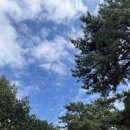 창원 휴양림 오토 캠핑장 이미지