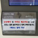 사임당공부방 | [강릉] 강릉가볼만한곳 오죽헌! 한복체험과 포토스팟, 문화해설 후기