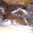 옹진해머금 이미지