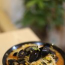 진시황반점 이미지