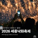 고복자연공원 야생초화원 | 10만명이 사랑한 K-불멍 | 2026 세종 낙화 축제 후기