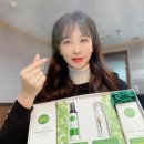 영화에코블루