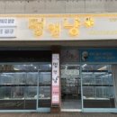 멍앤냥 강아지고양이 안양점 이미지