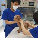 ㈜일원건축사사무소 이미지