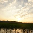 수하골(2) 이미지