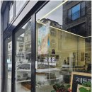 파충류샵 스마일게코 | 대전 도안동 도마뱀 분양샵 파충류샵 제트 크레스티드게코 후기