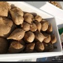 성심농장 이미지