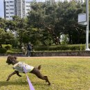 레인보우동물병원 이미지