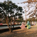 24mm 광각렌즈 찍은 집 앞 호수공원 이미지