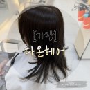 담희 - 전주시 덕진구 | [기장] 레이어드컷 + 염색 무조건 추천! 부산기장미용실 '다온헤어' 담희 부원장 솔직후기