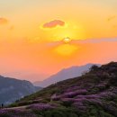 일신외식산업 네이버블로그