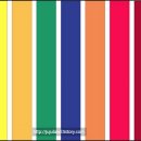 보라태권도 이미지