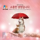 선진동물병원 이미지