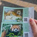 염소왕국 | 고베 여행 가족여행 필수코스 오지 동물원 후기