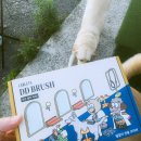 Brush | 애완견 털갈이 전용 빗, LABLETS DD BRUSH(디디 브러쉬) 사용 후기
