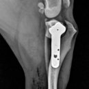 바로슬동물병원 이미지