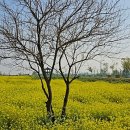 삽교호 호수공원 파크골프장 이미지