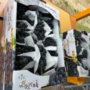 옥동포도농장 이미지