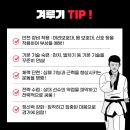 용인대 엘리트 태권도 이미지