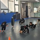 강류합기도 이미지
