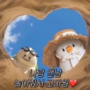 뽀그리멍 | my october 2
