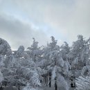 지리산 서북능선 바래봉 이미지