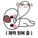 댕글 몽글 이미지