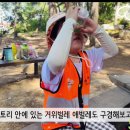 솔바람 유아숲체험원 이미지