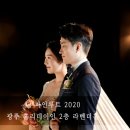 더파인루트