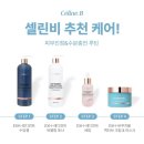 진정살롱