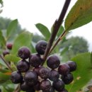 하랑농장 이미지