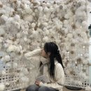 다시 돌아온 연말 결산