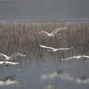 주남저수지 이미지